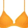 Beachlife Velvet Dot Bh-fit Bikinitop - Dames - Maat 70D